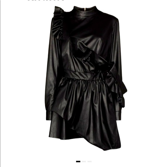 Natasha Zinko Dresses & Skirts - ‼️⚠️STATEMENT PIECE Natasha Zinko